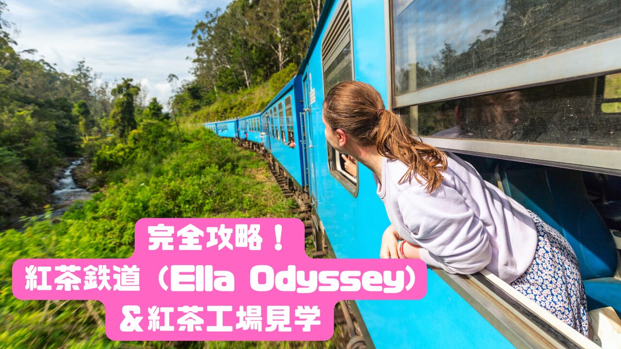 完全攻略】スリランカ 紅茶鉄道(Ella Odyssey)とおすすめ紅茶工場見学 